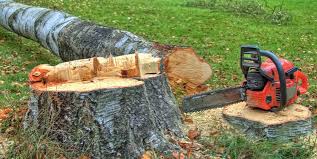 Best Emergency Tree Removal Services  in Flemingsburg, KY