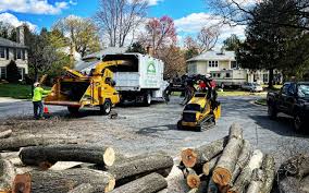 Best Tree Mulching Services  in Flemingsburg, KY